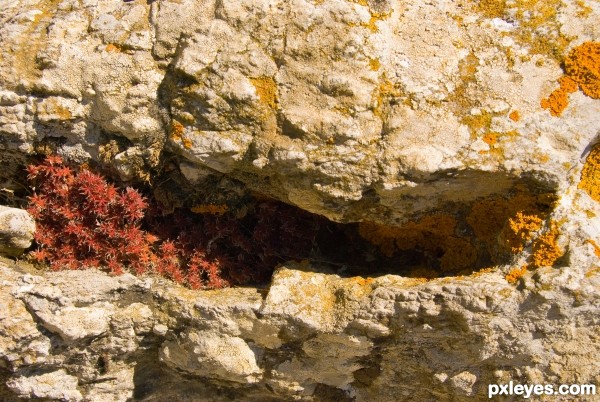 inside rocks crack